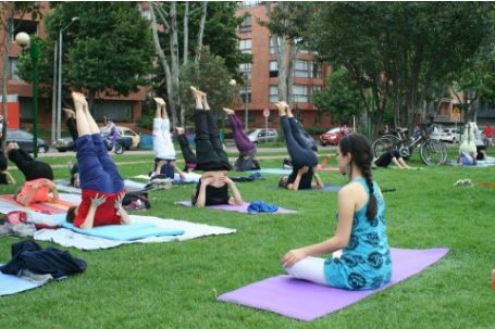 Centro Yoga Oms Revisión Y Opiniones